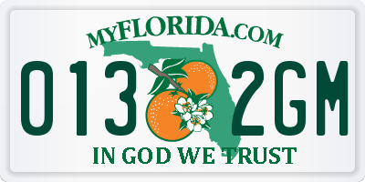 FL license plate 0132GM