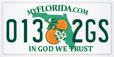 FL license plate 0132GS