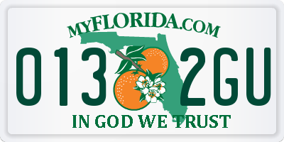 FL license plate 0132GU