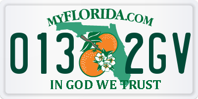 FL license plate 0132GV