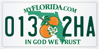 FL license plate 0132HA