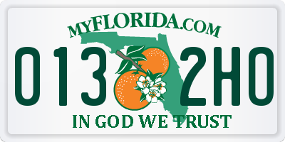 FL license plate 0132HO