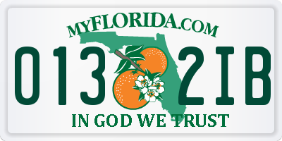 FL license plate 0132IB