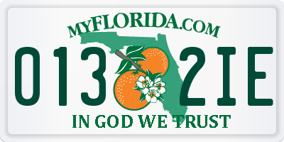 FL license plate 0132IE