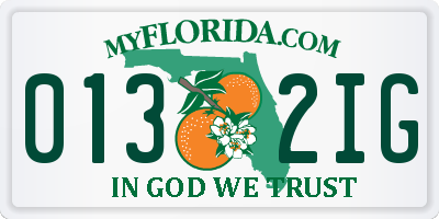 FL license plate 0132IG