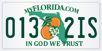 FL license plate 0132IS