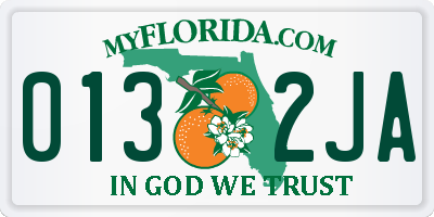 FL license plate 0132JA