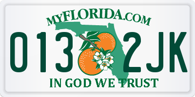 FL license plate 0132JK