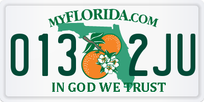 FL license plate 0132JU