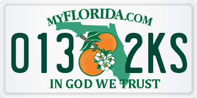 FL license plate 0132KS