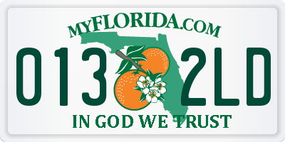 FL license plate 0132LD