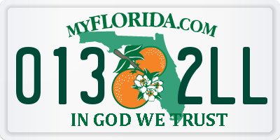 FL license plate 0132LL