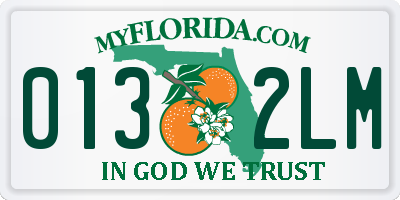 FL license plate 0132LM