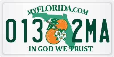 FL license plate 0132MA