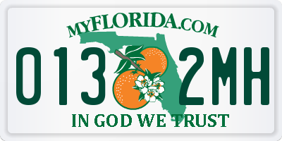 FL license plate 0132MH
