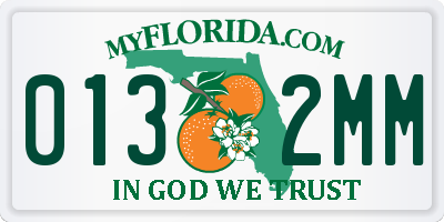 FL license plate 0132MM