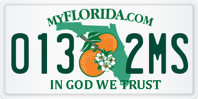 FL license plate 0132MS