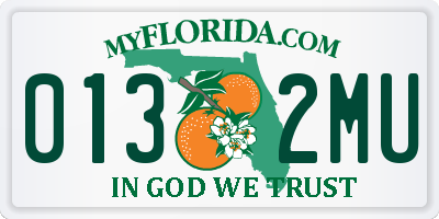 FL license plate 0132MU