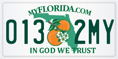 FL license plate 0132MY