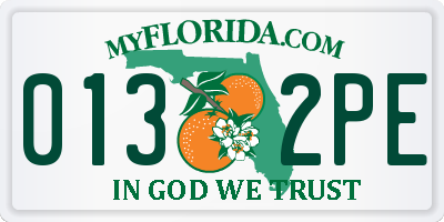 FL license plate 0132PE