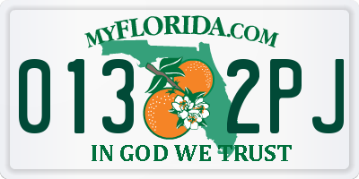 FL license plate 0132PJ