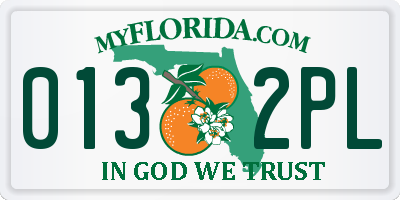FL license plate 0132PL