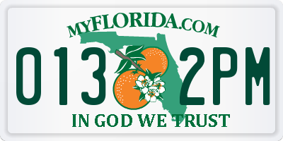 FL license plate 0132PM