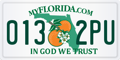 FL license plate 0132PU