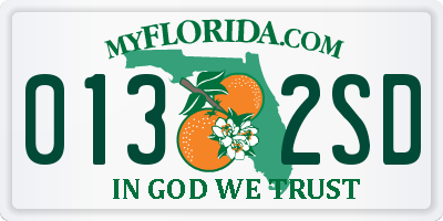 FL license plate 0132SD