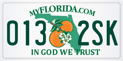 FL license plate 0132SK