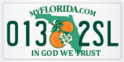 FL license plate 0132SL