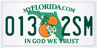 FL license plate 0132SM