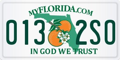 FL license plate 0132SO