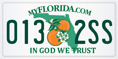 FL license plate 0132SS