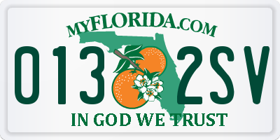 FL license plate 0132SV