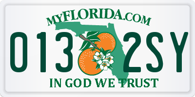 FL license plate 0132SY