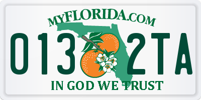 FL license plate 0132TA