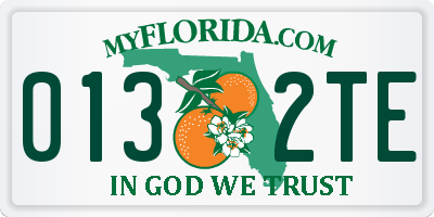 FL license plate 0132TE