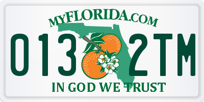 FL license plate 0132TM