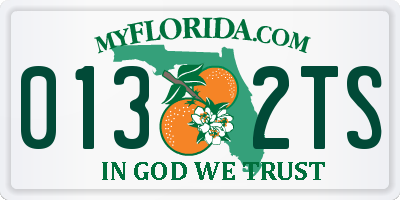 FL license plate 0132TS