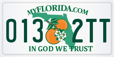 FL license plate 0132TT