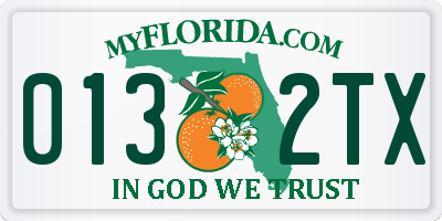 FL license plate 0132TX