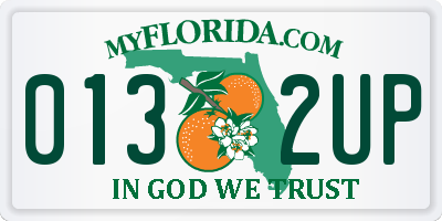 FL license plate 0132UP