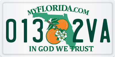FL license plate 0132VA