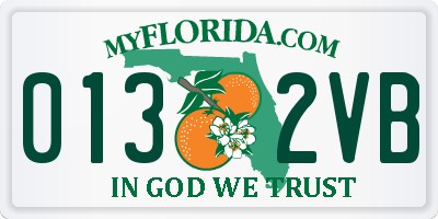 FL license plate 0132VB