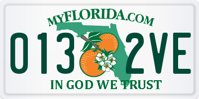 FL license plate 0132VE