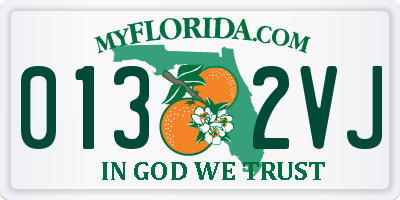 FL license plate 0132VJ