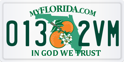 FL license plate 0132VM