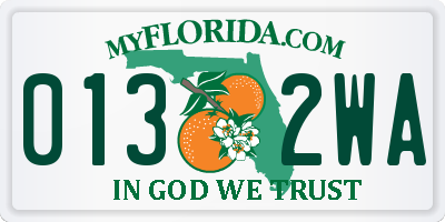 FL license plate 0132WA