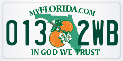 FL license plate 0132WB